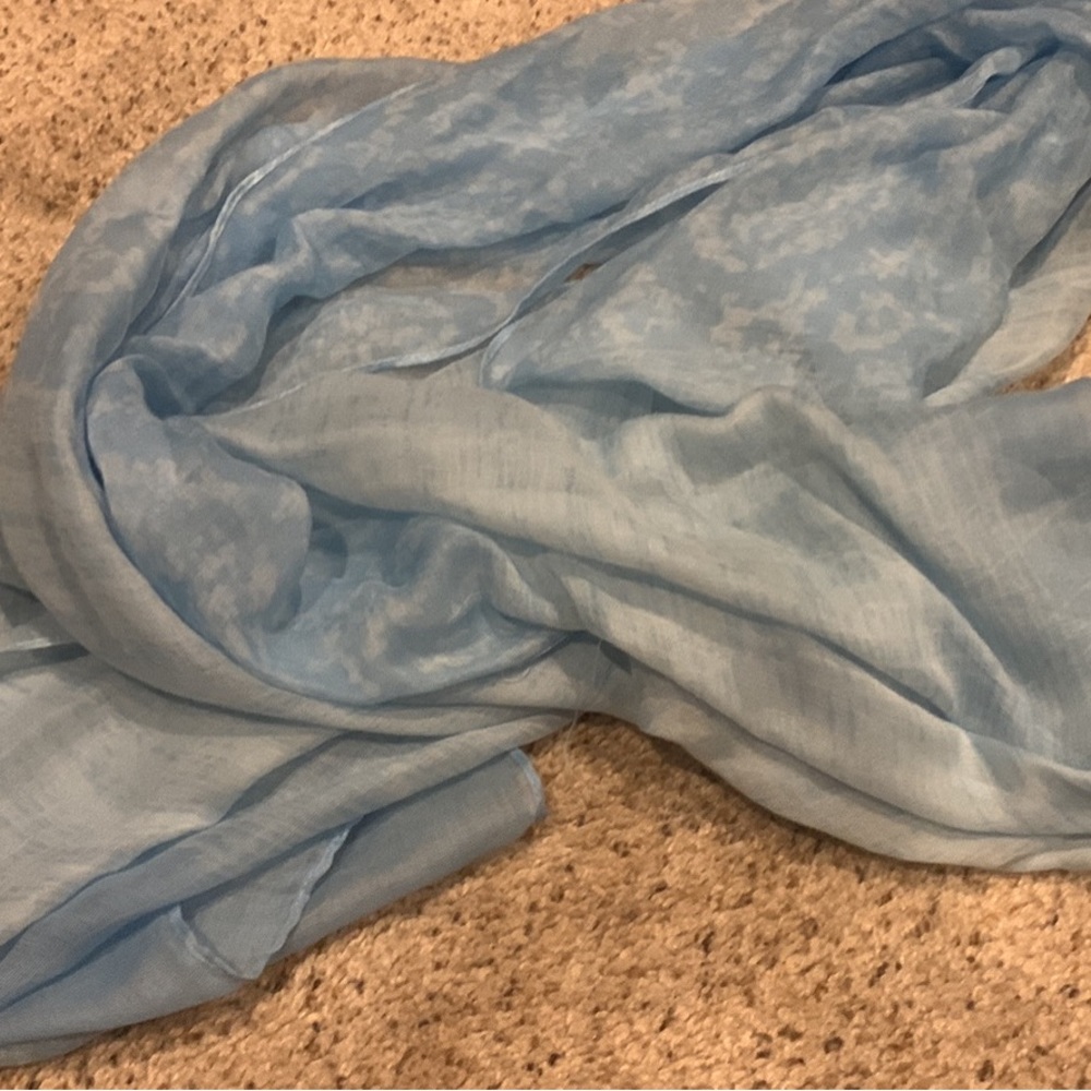 Charming Charlie Blue Scarf